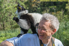 Paul with ruffed lemur